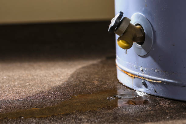 Best Ceiling water damage repair  in Belford, NJ