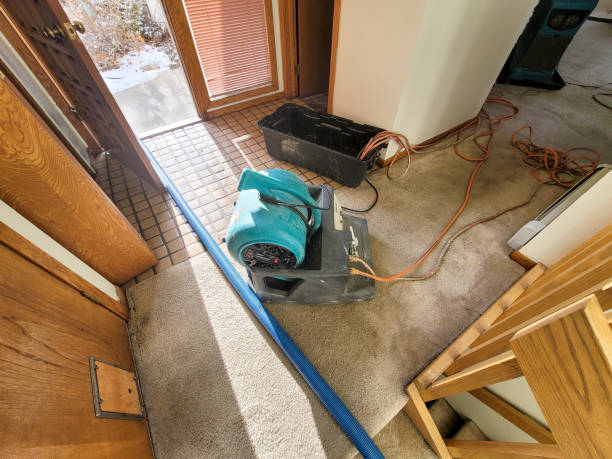 Best Water damage contractors near me  in Belford, NJ