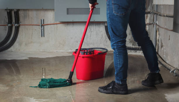 Best Water damage restoration near me  in Belford, NJ
