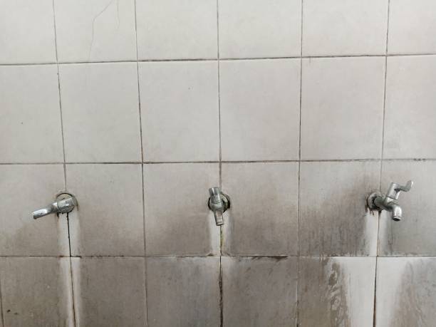  Belford, NJ Water damage restoration Pros