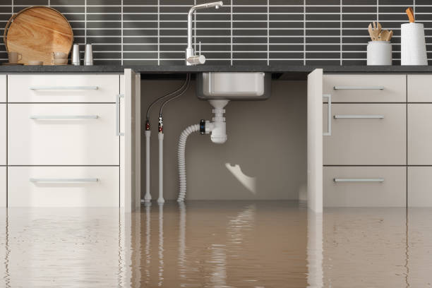 Best Local water damage restoration  in Belford, NJ